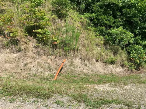 44 45 Silo Vw, Murphy, NC 28906 photo 16