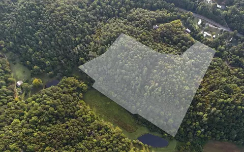 lot8 Murphy Ln, Mineral Bluff, GA 30559