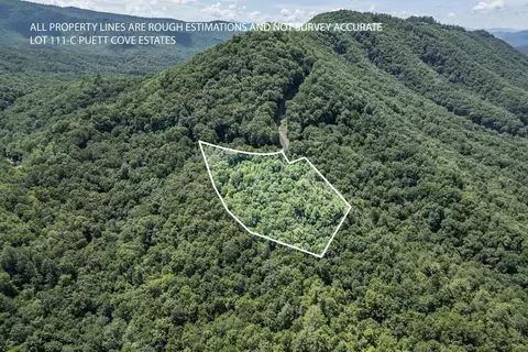 lot111 C Puett Cove Ests, Marble, NC 28905