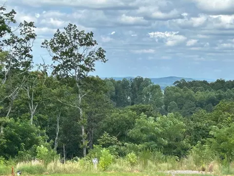 Lt 95 Timberline Trail, Ellijay, GA 30540