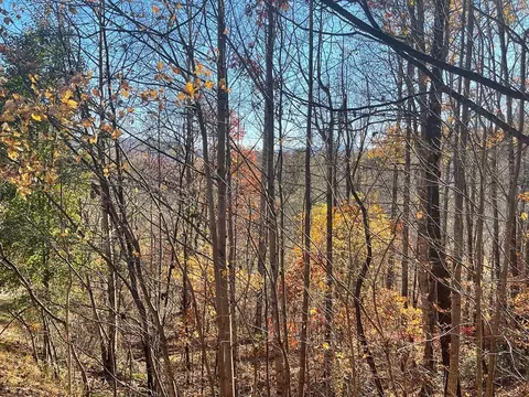 lot41 C Ash Branch Cir, Hayesville, NC 28904