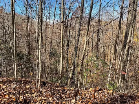 lot49 J Indian Trl, Hayesville, NC 28904