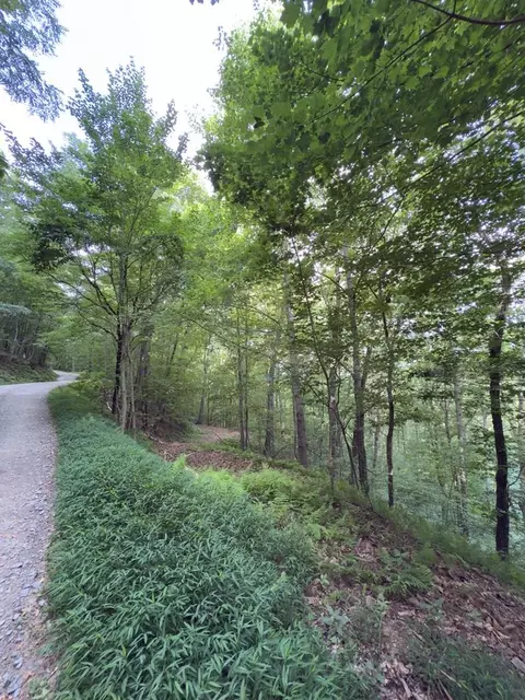 lot20 Locust Ln, Morganton, GA 30560