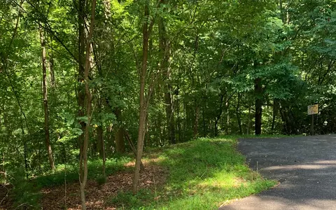 lot20 Bryant Cove Rd, Blairsville, GA 30512