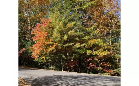lot22 Bryant Cove Rd, Blairsville, GA 30512