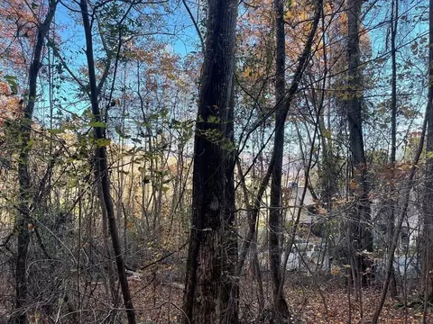 lot51 J Indian Trl, Hayesville, NC 28904