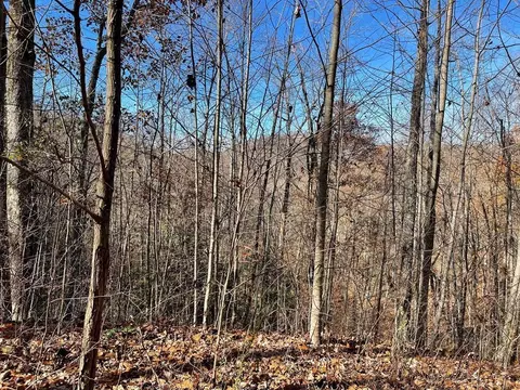 tbd Ashe Branch Vw, Hayesville, NC 28904