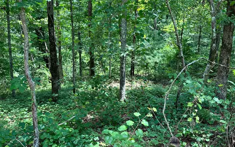 Lt 1719 Rebekah Ridge Road, Talking Rock, GA 30175