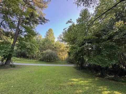 1 18 Newberry Dr, Mineral Bluff, GA 30559