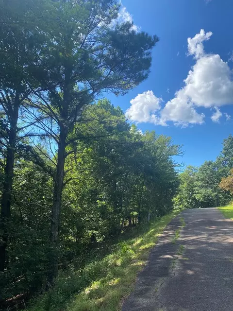 lot112 Natalie Ln, Blairsville, GA 30512
