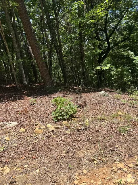 0 Skyview Acres Dr, Murphy, NC 28906