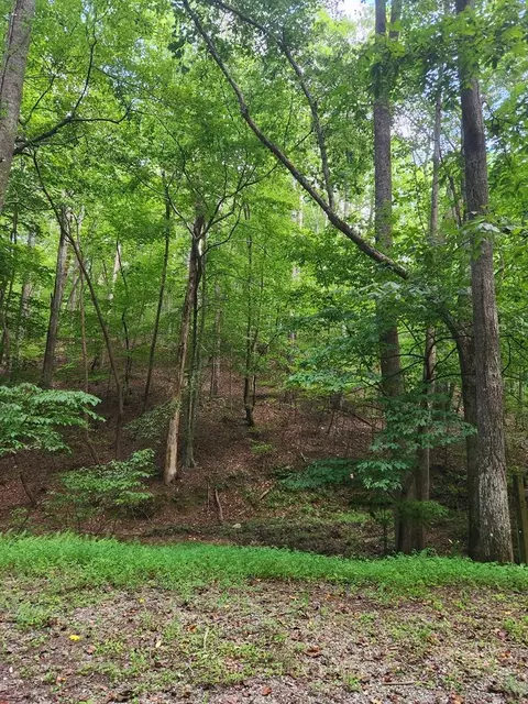 lot133 Shiloh Ct, Ellijay, GA 30540