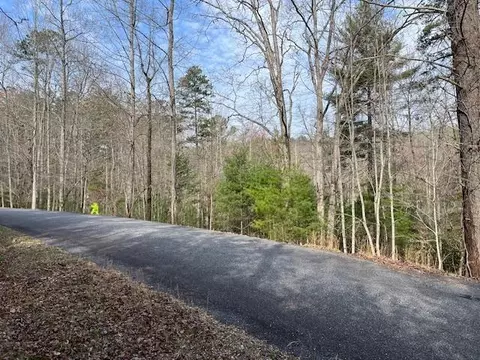 lot10 Lower Fox Trail Rd, Blairsville, GA 30512