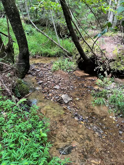 tbd Sheep Knob, Brasstown, NC 28906