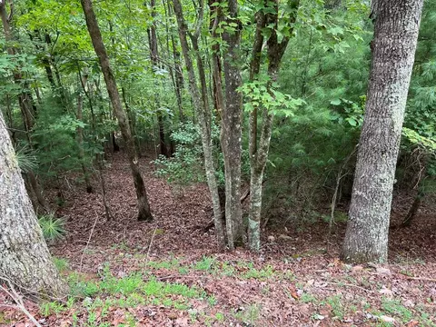 167 Tara Dr, Ellijay, GA 30540