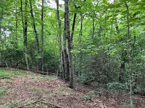 lot41 Floris Mountain Rd, Murphy, NC 28906 photo 9