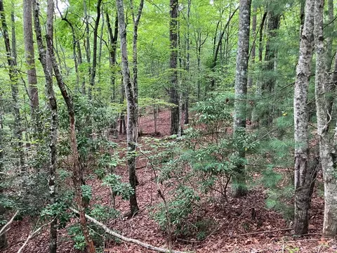 lot41 Floris Mountain Rd, Murphy, NC 28906 photo 7