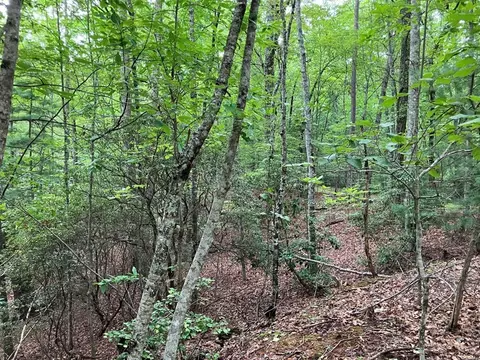 lot41 Floris Mountain Rd, Murphy, NC 28906 photo 4