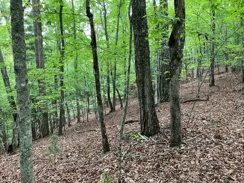 lot41 Floris Mountain Rd, Murphy, NC 28906 photo 6
