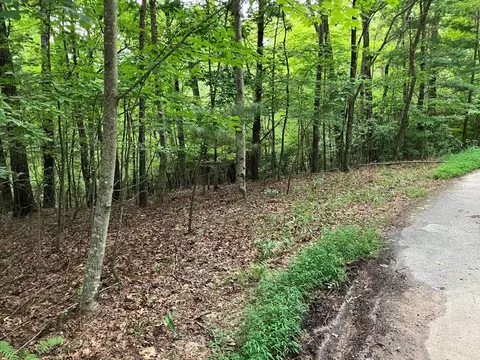 lot41 Floris Mountain Rd, Murphy, NC 28906 photo 10
