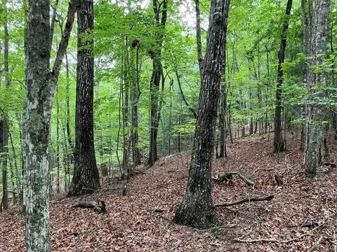 lot41 Floris Mountain Rd, Murphy, NC 28906 photo 5