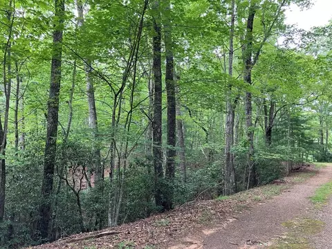 lot41 Floris Mountain Rd, Murphy, NC 28906 photo 11