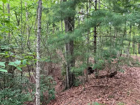 lot41 Floris Mountain Rd, Murphy, NC 28906 photo 8