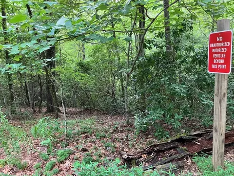 lot41 Floris Mountain Rd, Murphy, NC 28906 photo 2