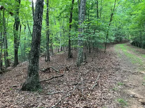 lot41 Floris Mountain Rd, Murphy, NC 28906 photo 3