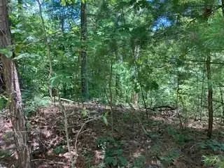 797 Woodbine Lane, Ranger, GA 30734