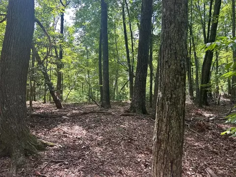 22 5 Ac Hwy 2, Blue Ridge, GA 30513