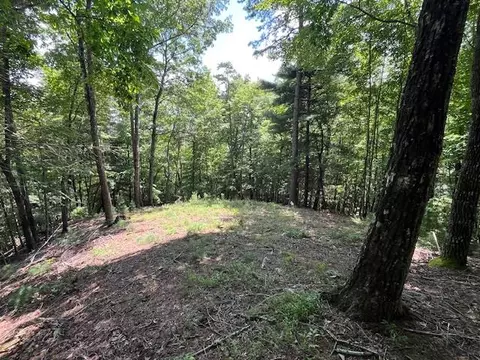 lot11 Laurel Mountain Rd, Brasstown, NC 28904