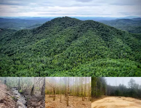 0 Flea Mountain Rd, Murphy, NC 28906
