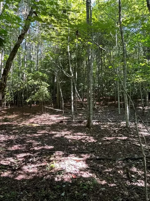 lot17 Hidden Branch Dr, Young Harris, GA 30582