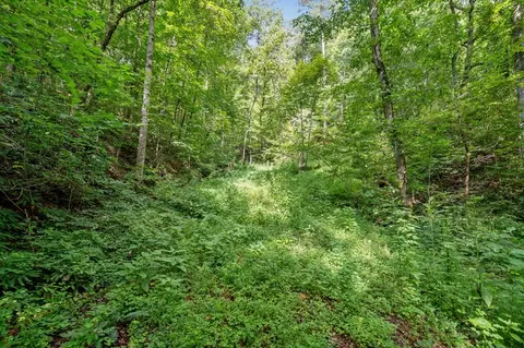 3 11 Ac Cove Rd, Jasper, GA 30143 photo 11