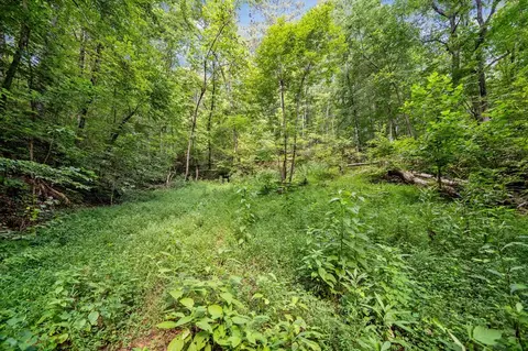 3 11 Ac Cove Rd, Jasper, GA 30143 photo 3