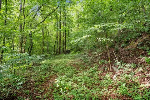 3 11 Ac Cove Rd, Jasper, GA 30143 photo 13