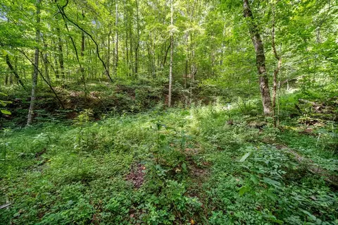 3 11 Ac Cove Rd, Jasper, GA 30143 photo 12