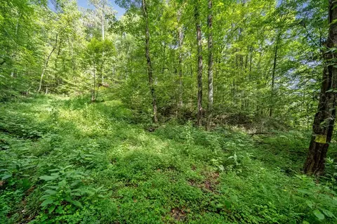 3 11 Ac Cove Rd, Jasper, GA 30143 photo 10