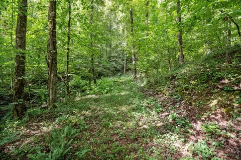 3 11 Ac Cove Rd, Jasper, GA 30143 photo 4