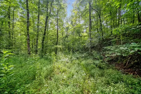 3 11 Ac Cove Rd, Jasper, GA 30143 photo 9