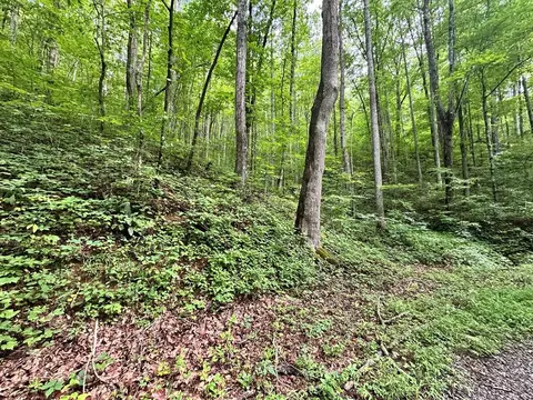 lot19 Burnt Leaf, Hayesville, NC 28904
