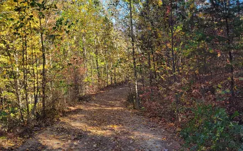 14 Ac Old Burnt Mtn, Ellijay, GA 30540