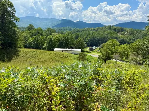 1237 Jackie Cove Rd, Hayesville, NC 28904