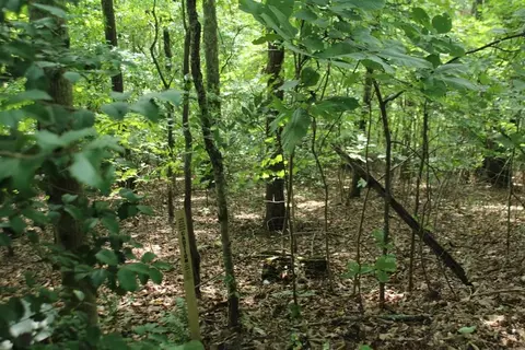 lot20 Skid Strip Ln, Hayesville, NC 28904