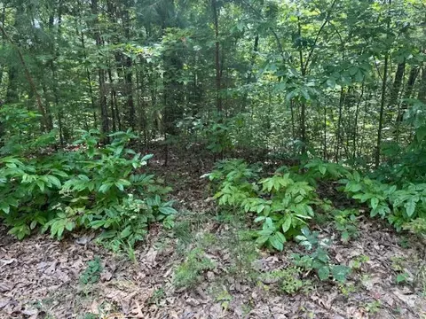 14 Abbott Mill Rd, Ellijay, GA 30540