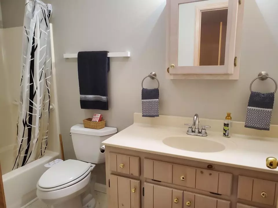Bath - 83 Boxborough Dr, Blairsville, GA 30512 photo 1 of 2