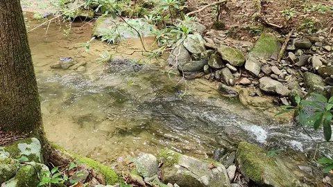 000 Little Rock Creek Rd, Cherry Log, GA 30522