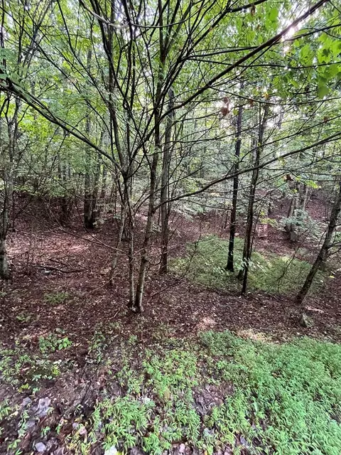 lot45 Ac Ash Branch Cir, Hayesville, NC 28904