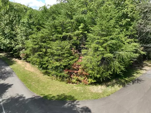 123 Edinborough Ct, Ellijay, GA 30536